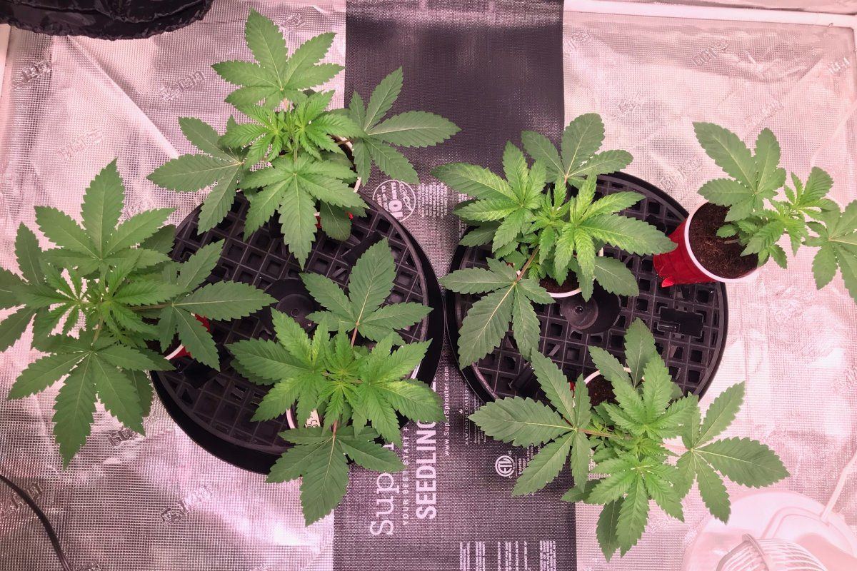 Day 22