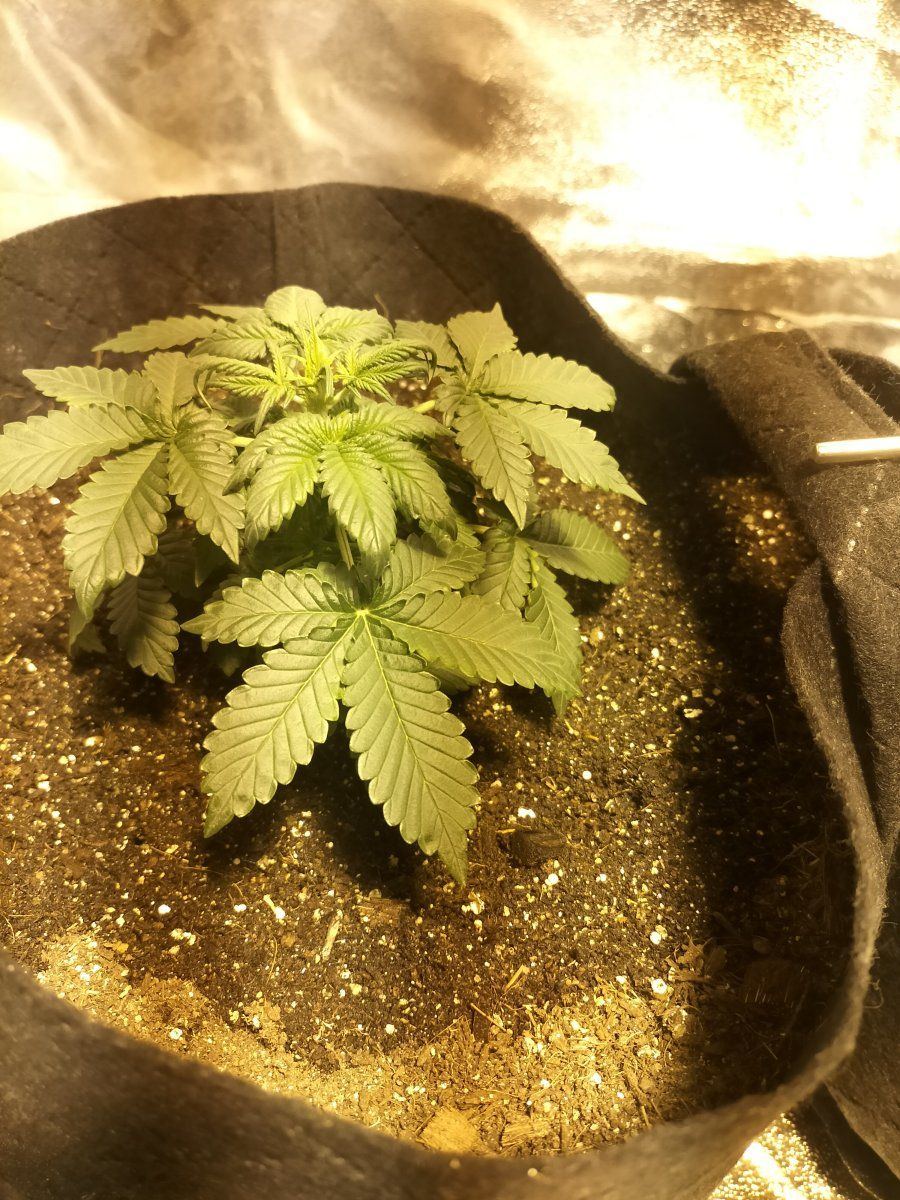 Day 22