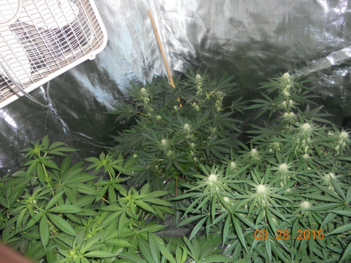 Day 23 004