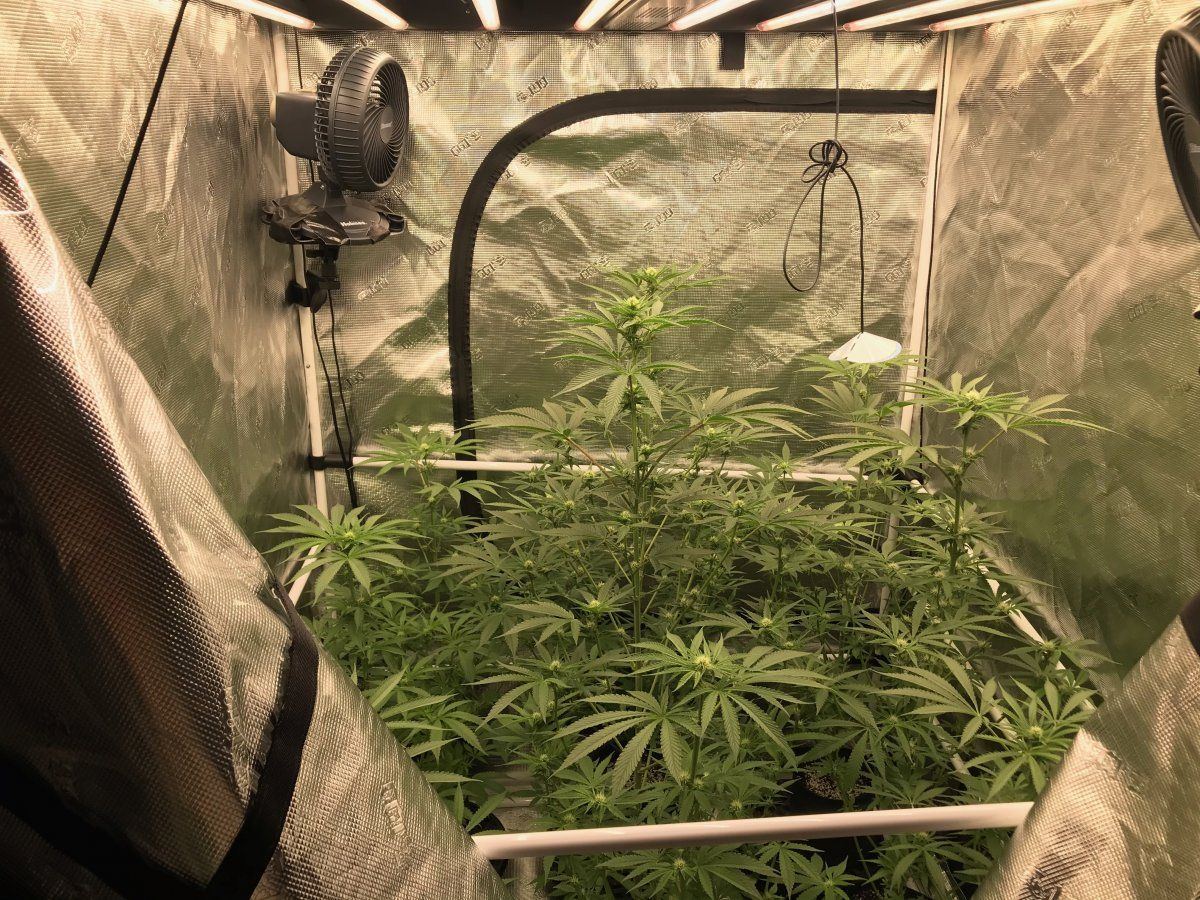 Day 23 2