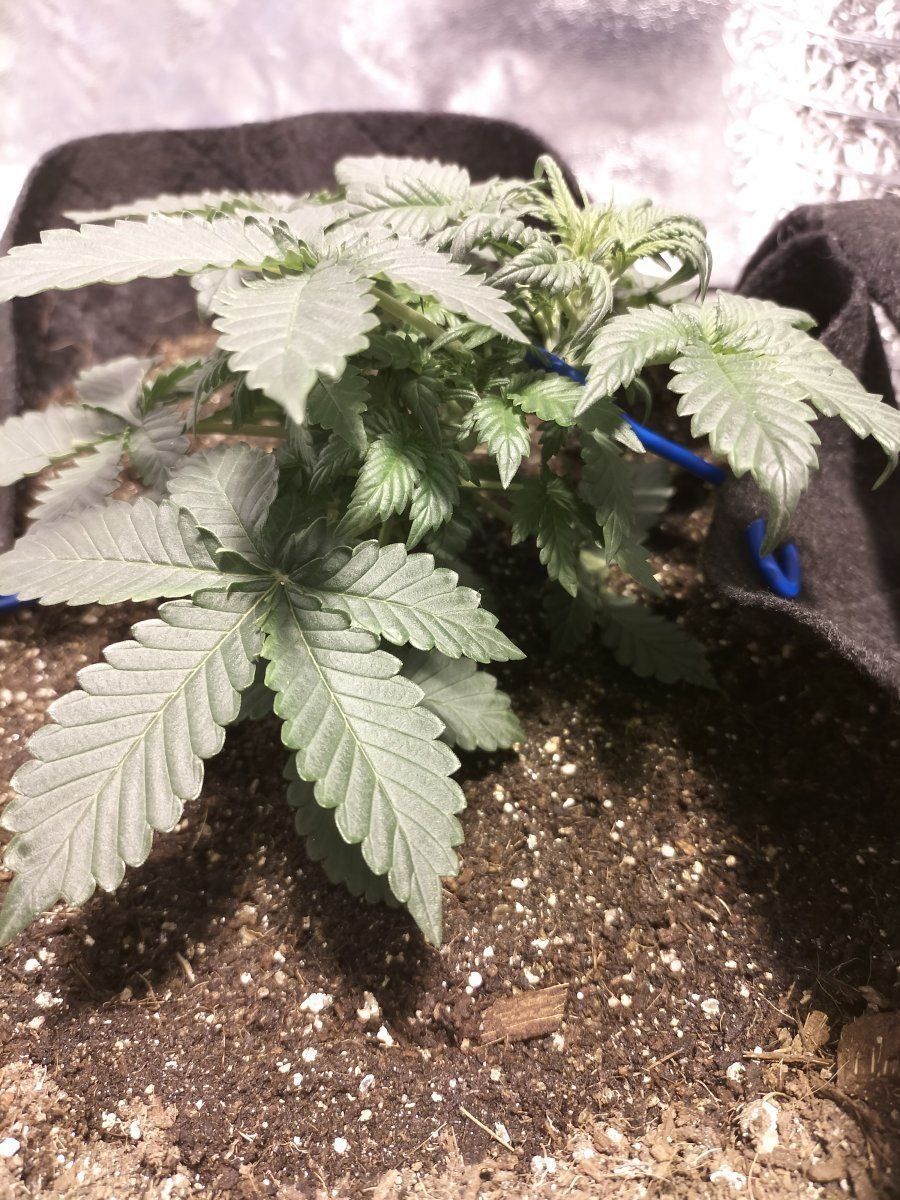 Day 23 LST 1 2
