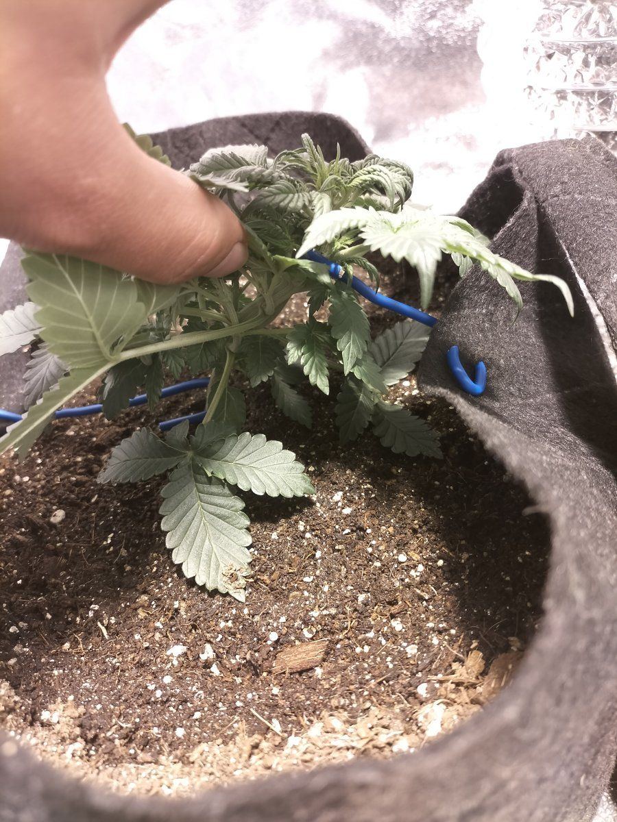 Day 23 LST 1 3