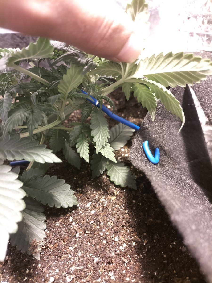 Day 23 LST 1 4