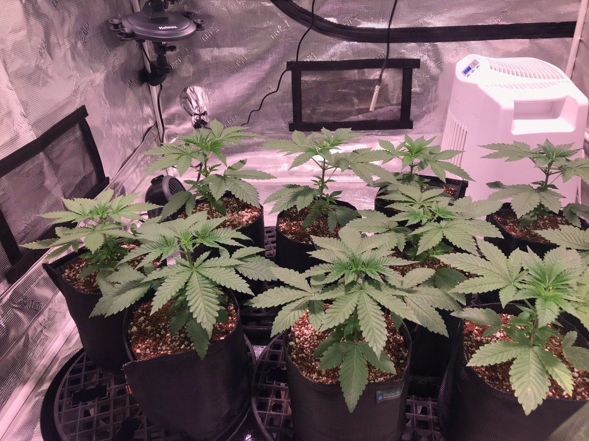 Day 25 1
