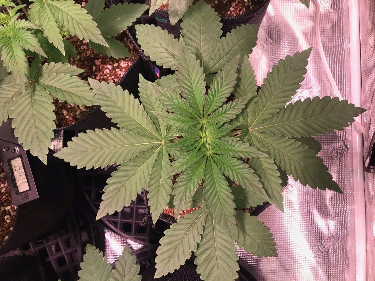 Day 25 3