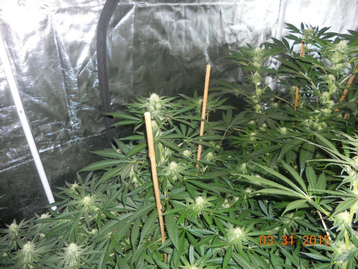 Day 26 004