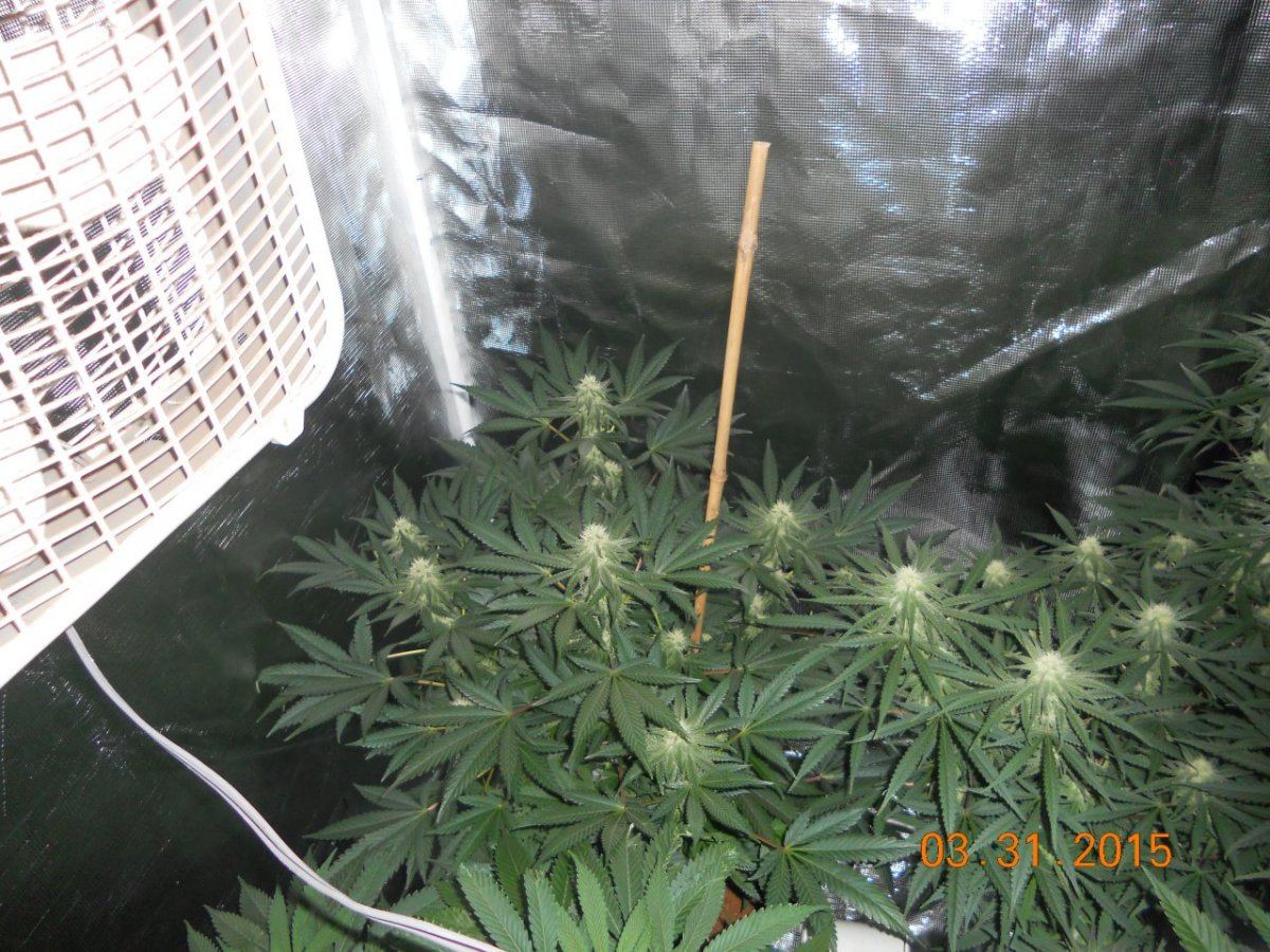 Day 26 005