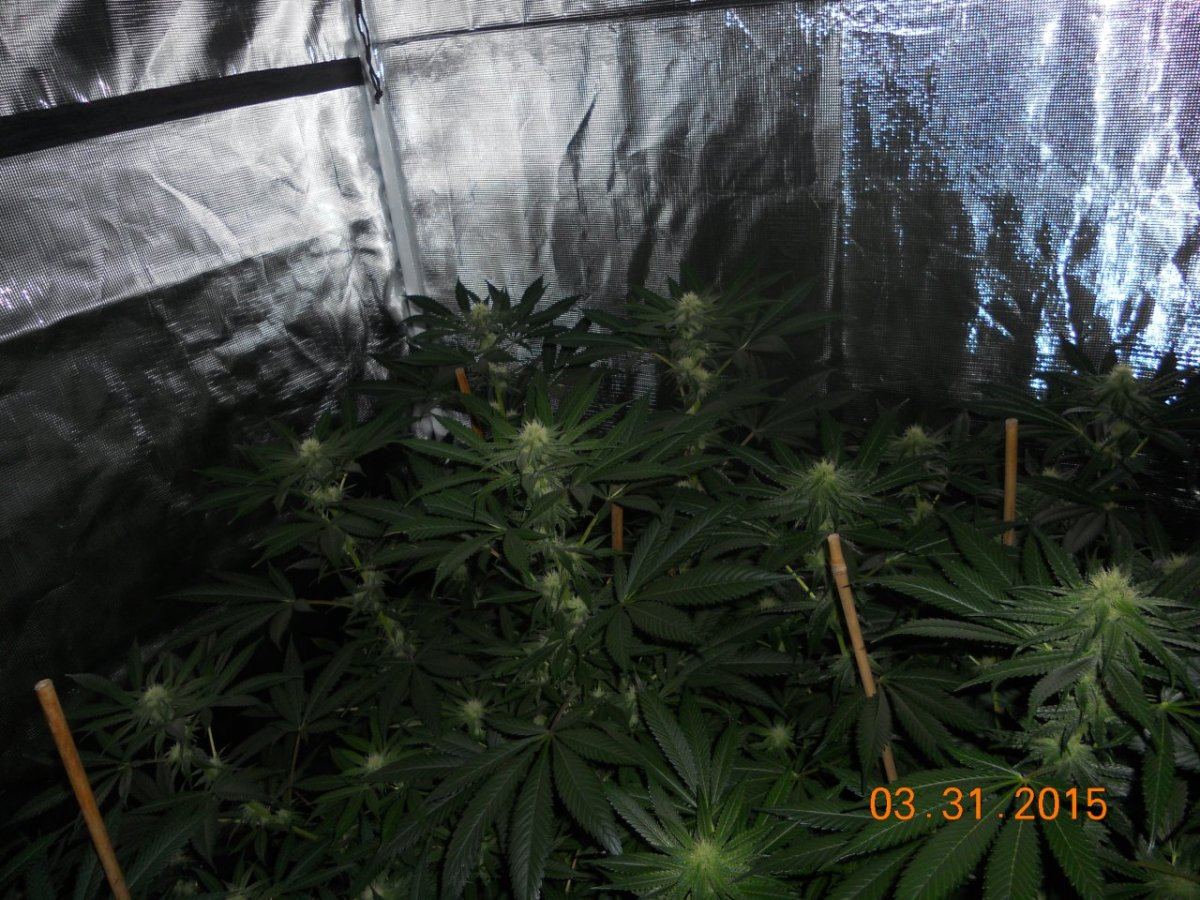 Day 26 007