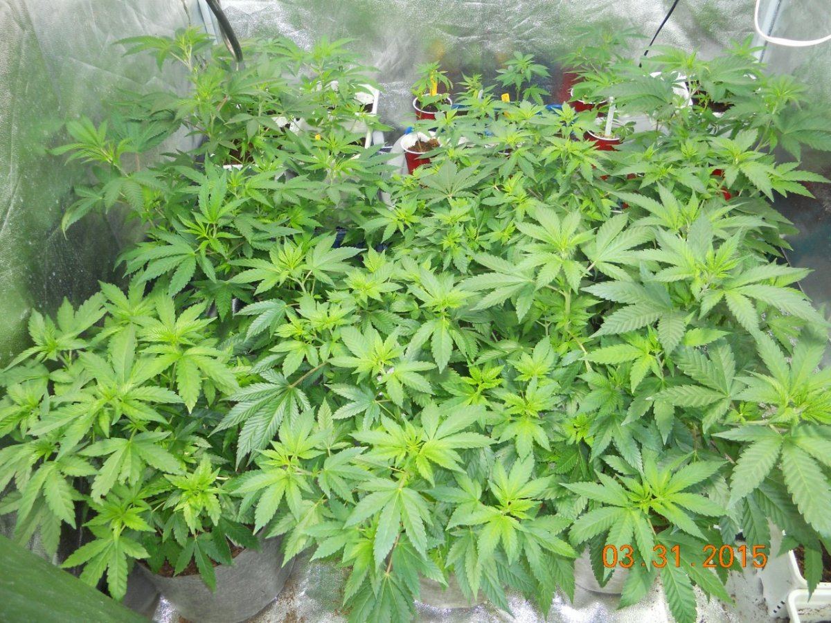 Day 26 008