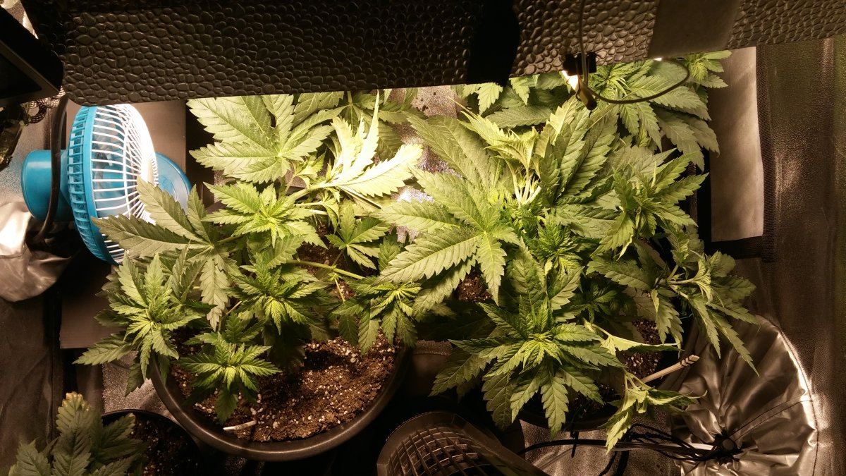 Day 26 17