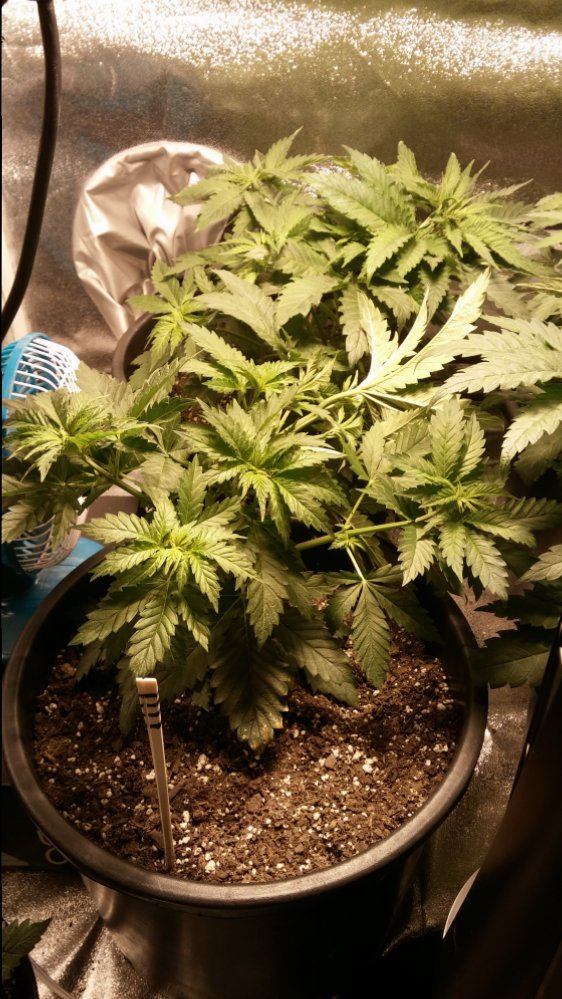 Day 26 8