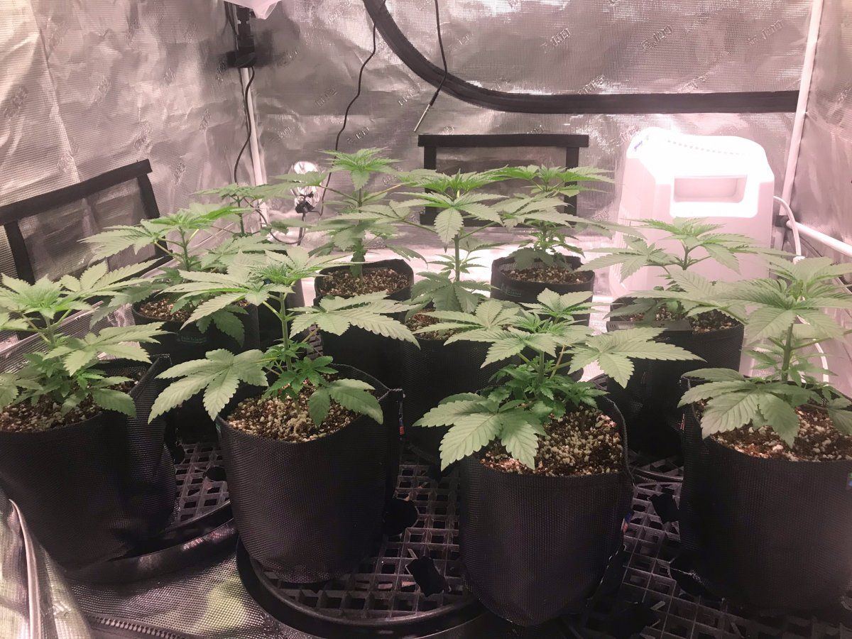 Day 27 2