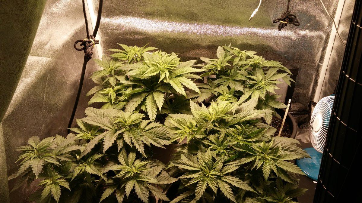 Day 27 5