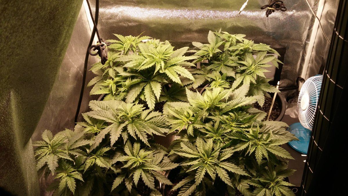 Day 27 6