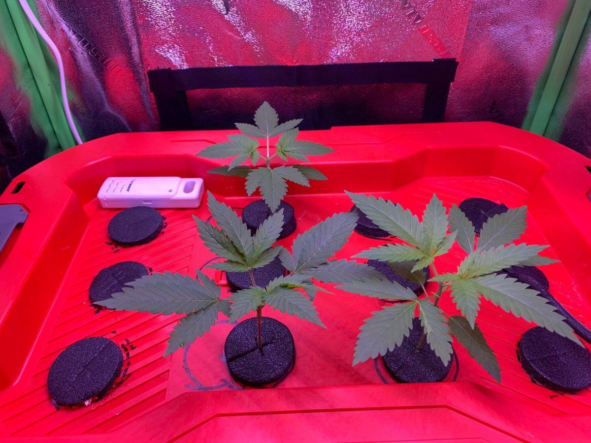 Day 28 1
