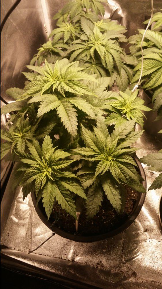 Day 28 1