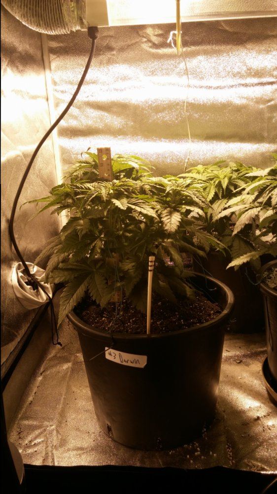 Day 28 11