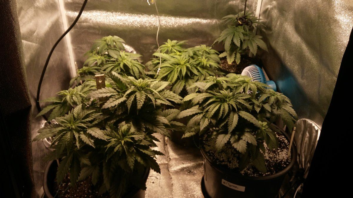 Day 28 15