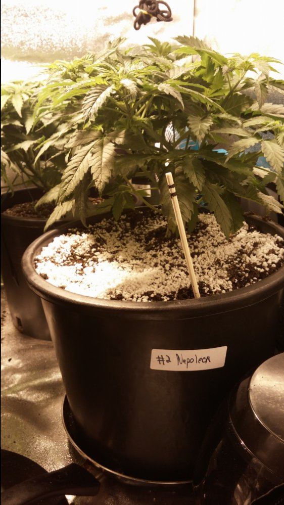 Day 28 19