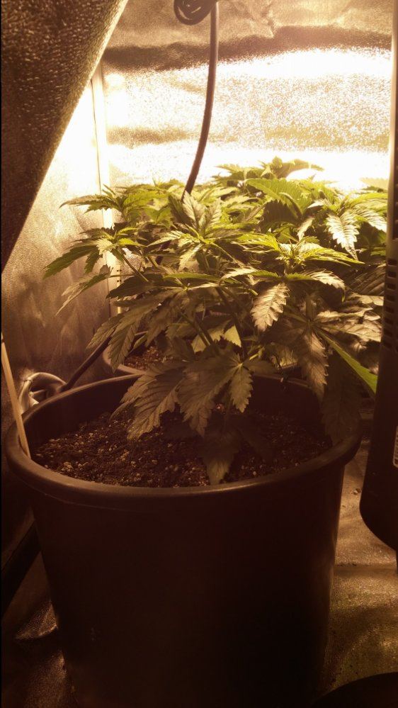 Day 28 2