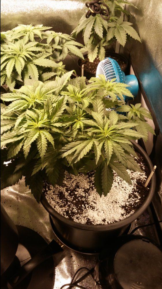 Day 28 21
