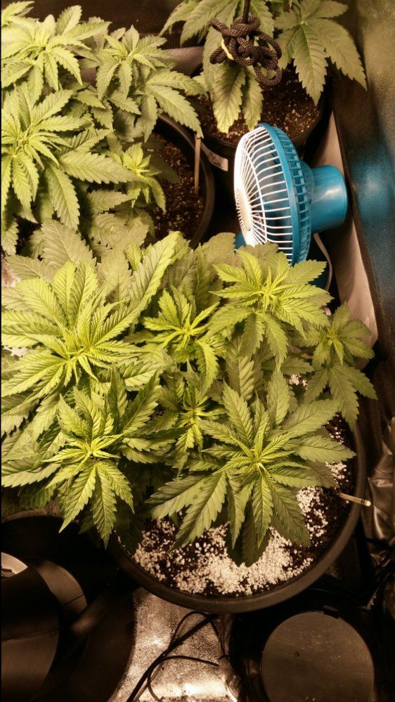 Day 28 22