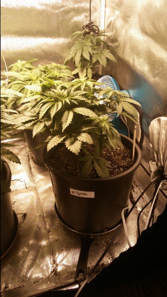 Day 28 25