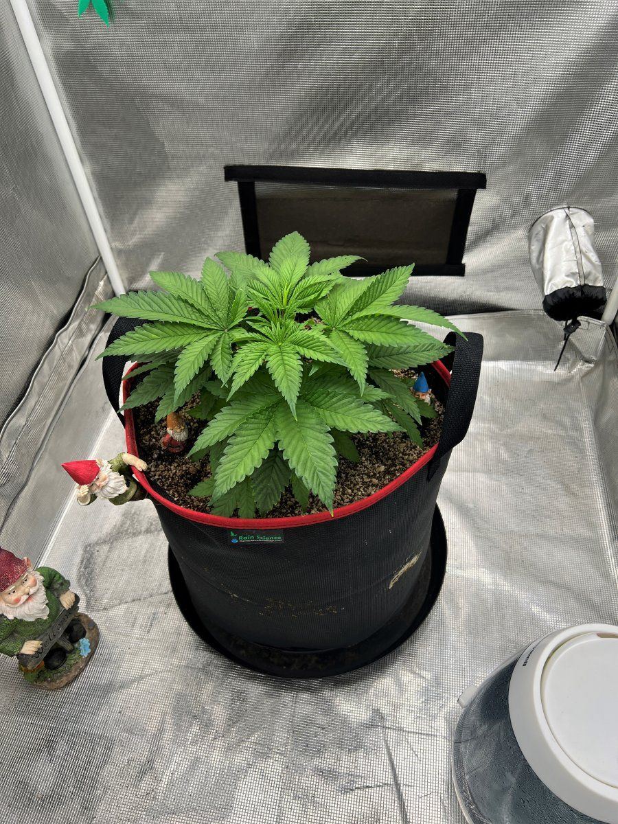 Day 28