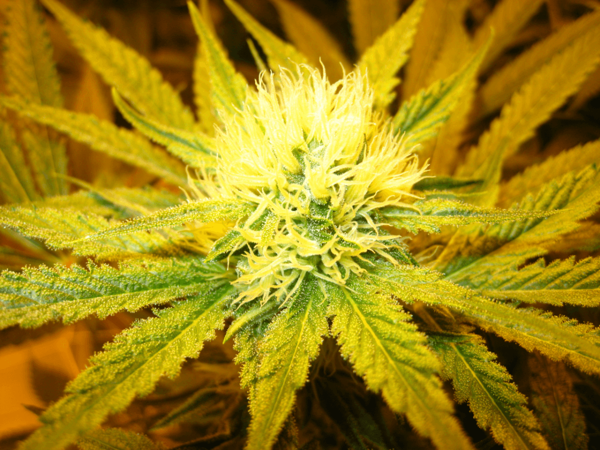 Day 28 WS01