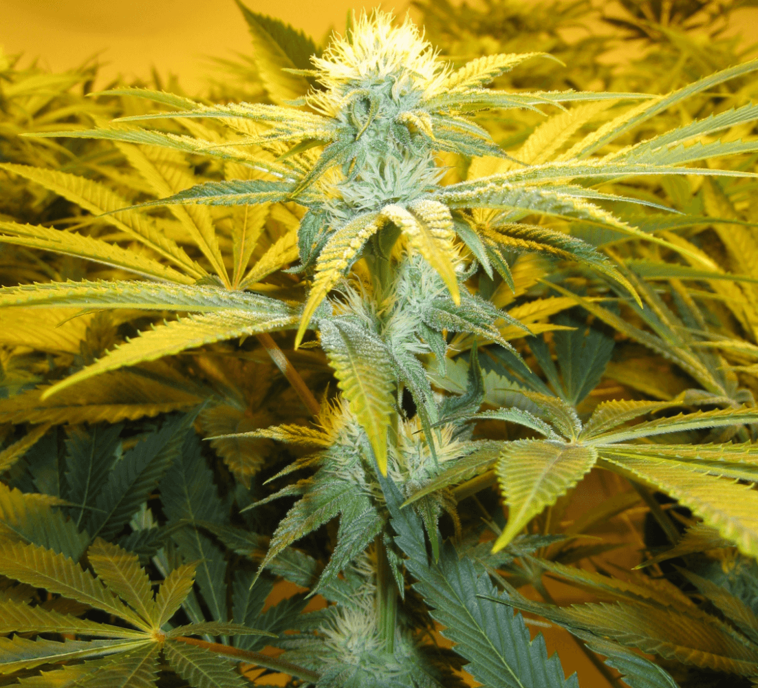 Day 28 WS02