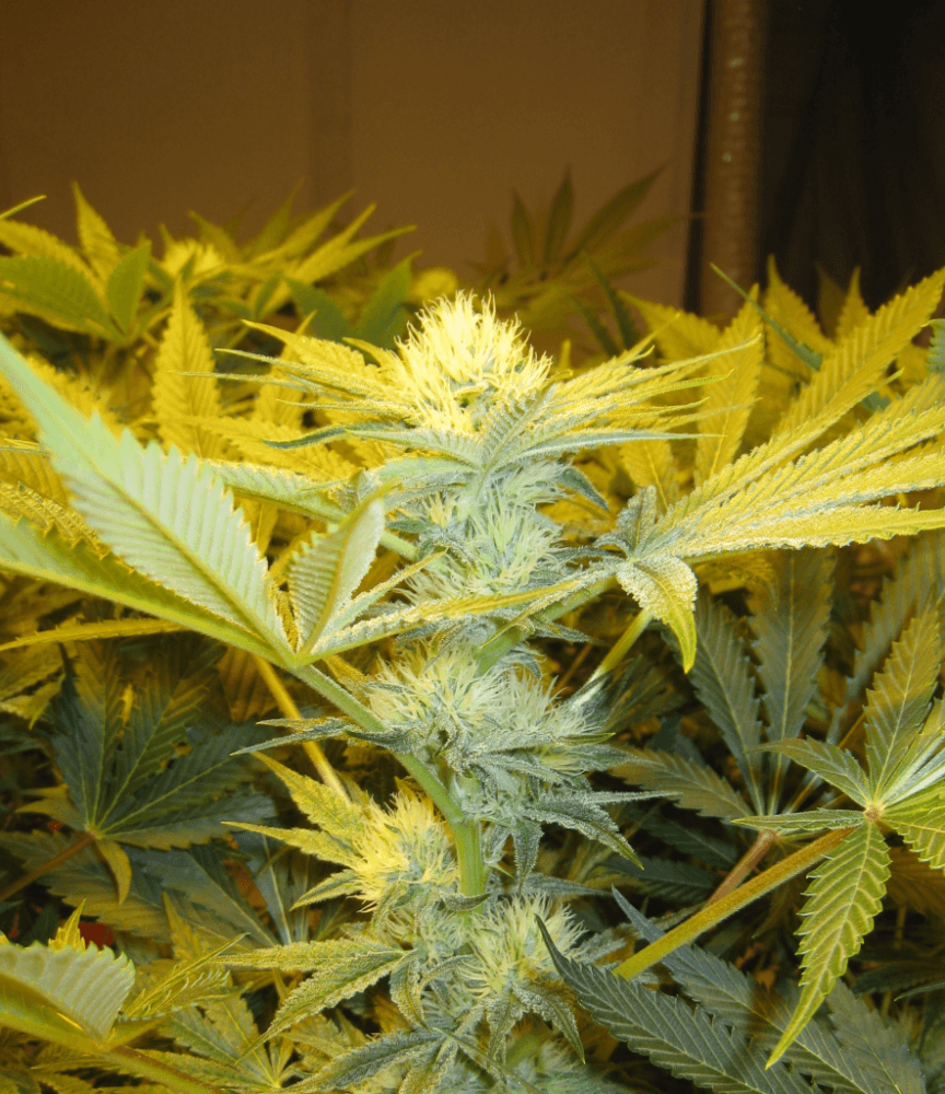 Day 28 WS03