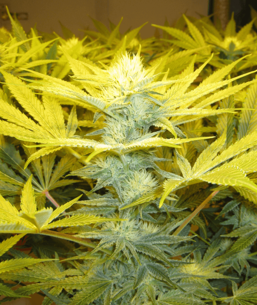 Day 28 WS04