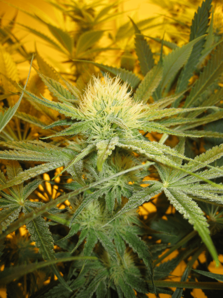 Day 28 WS05