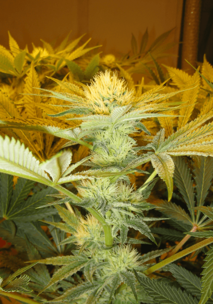 Day 28 WS07