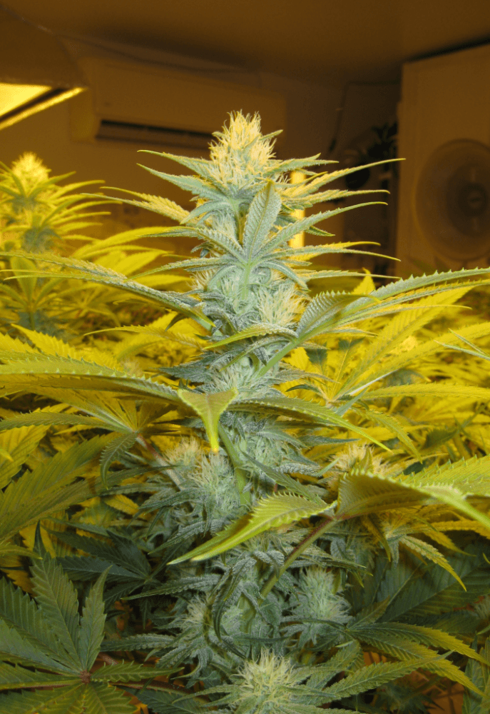 Day 28 WS10