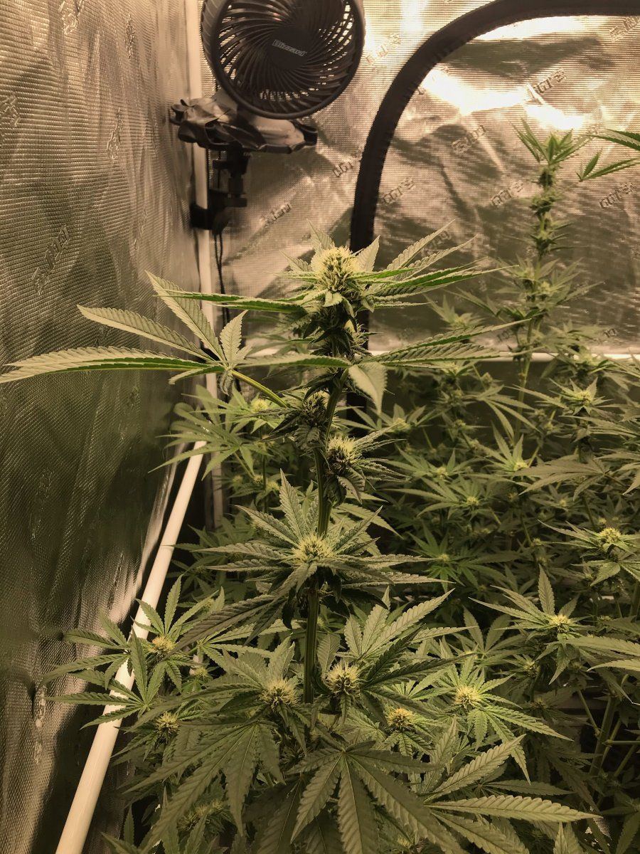 Day 29 1