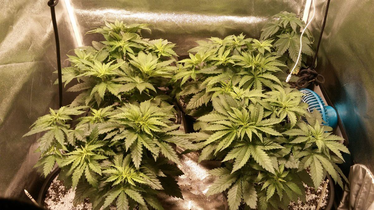 Day 29 11