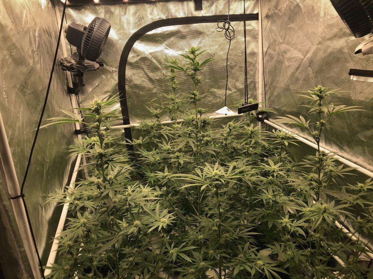 Day 29 2