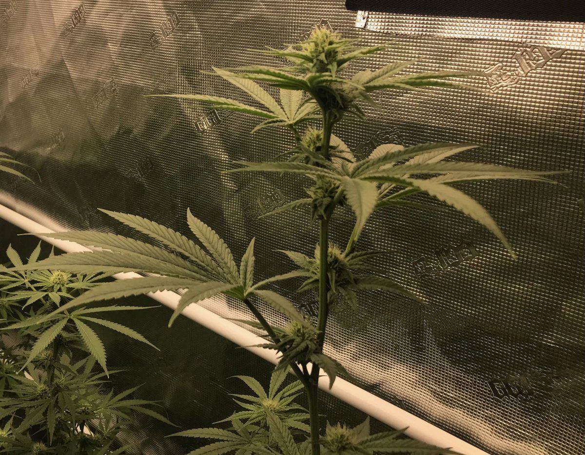 Day 29 3