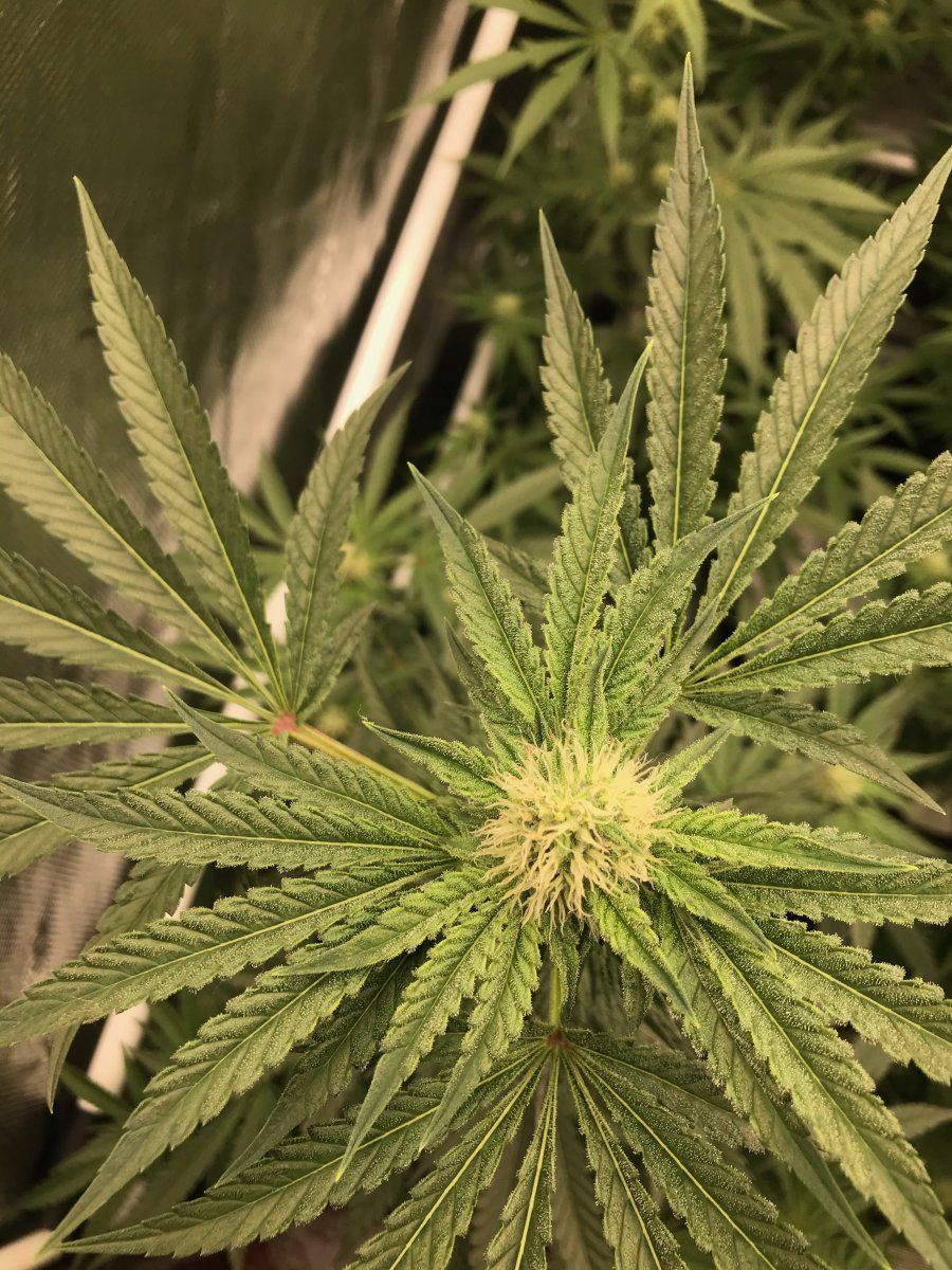 Day 29 5