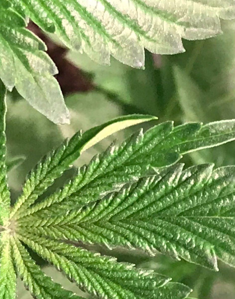 Day 29 6