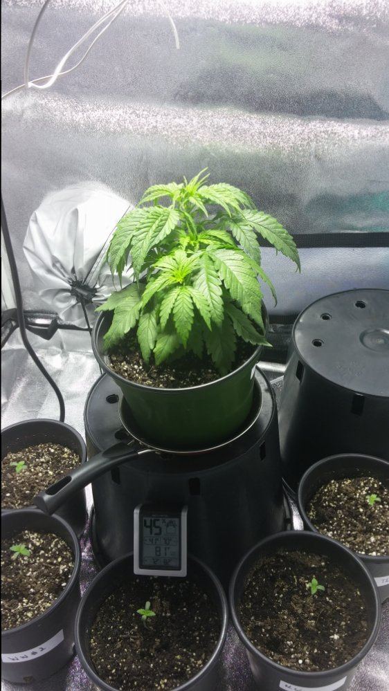 Day 3 2