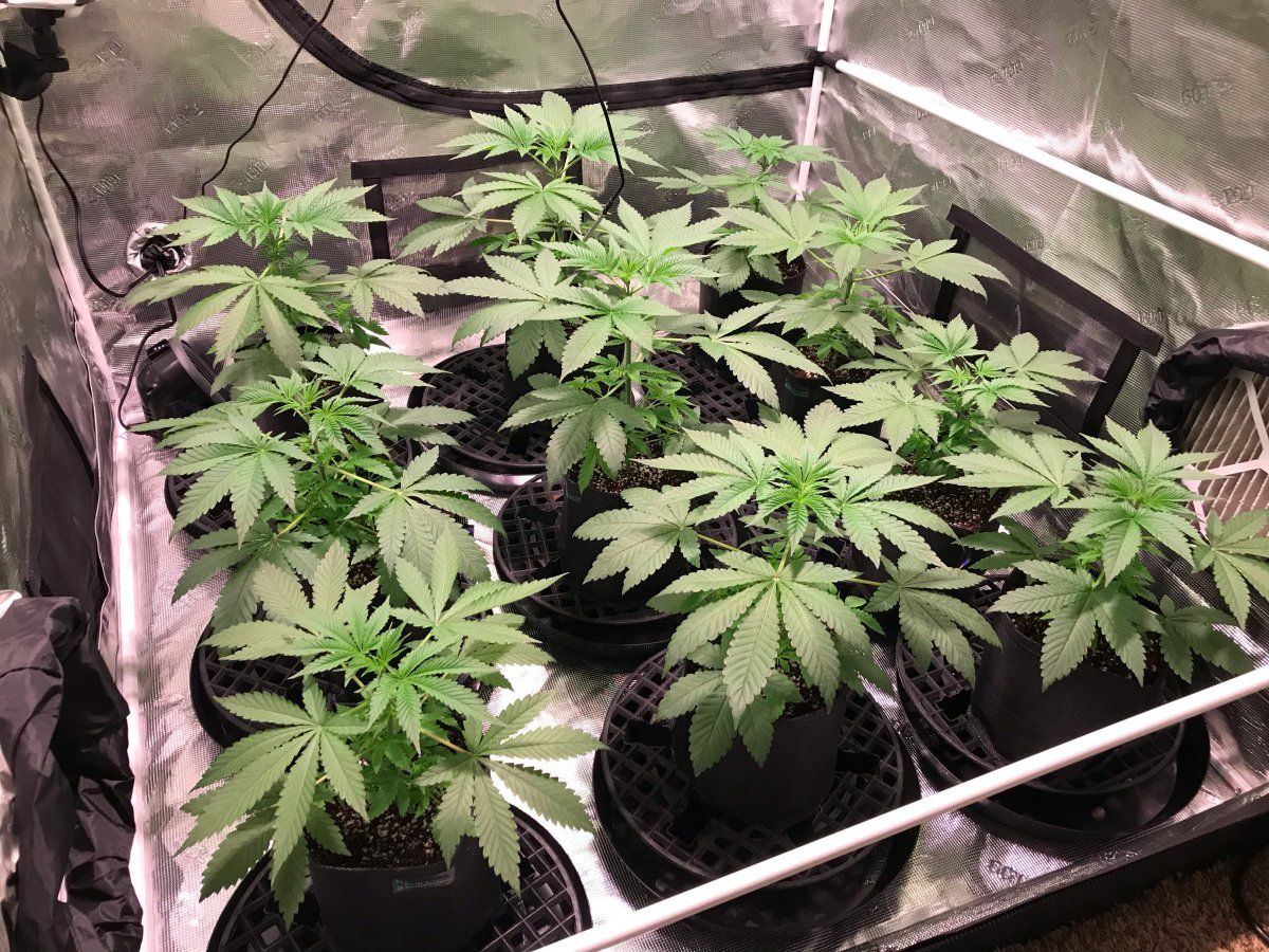 Day 30 1