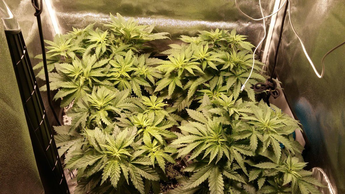 Day 30 3