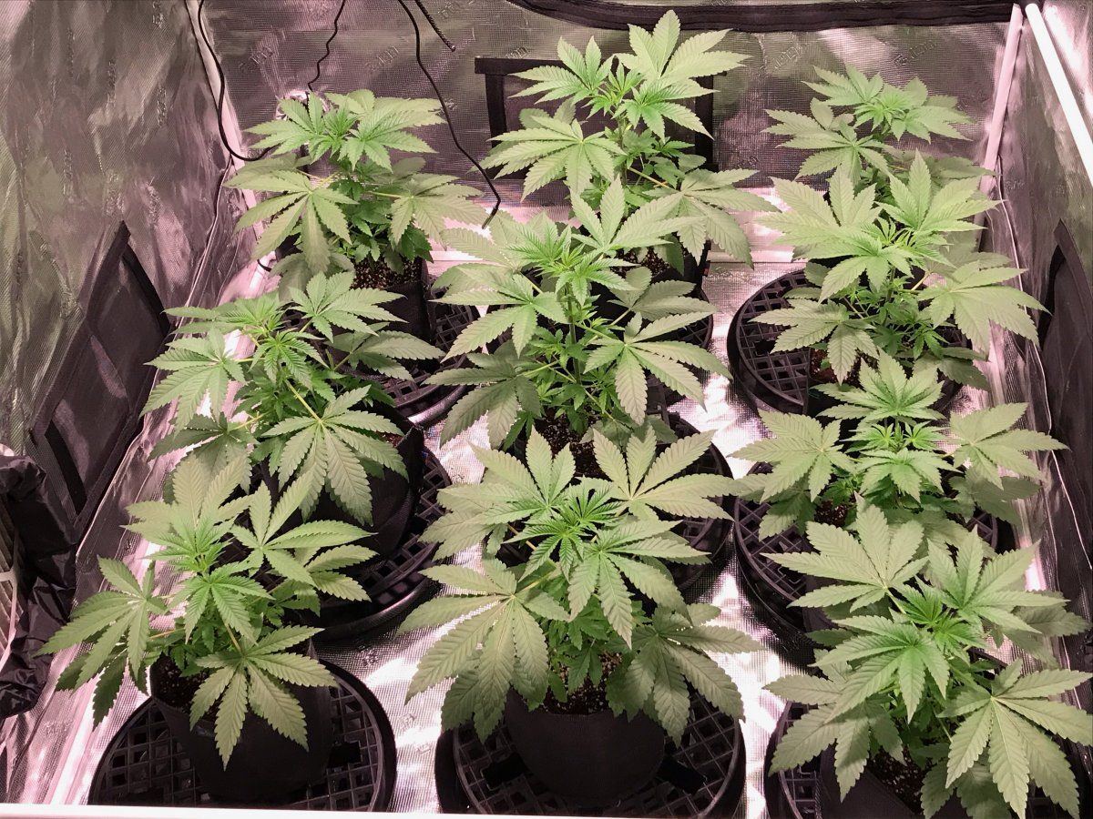 Day 30