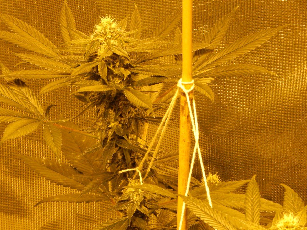 Day 31 012