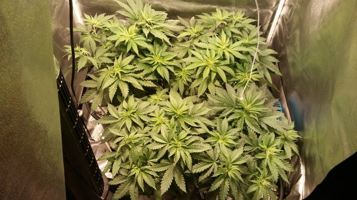 Day 31 7