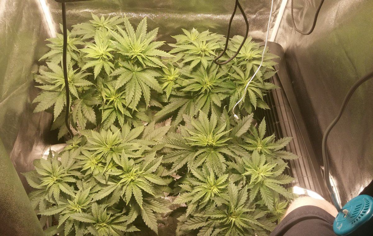 Day 32 1