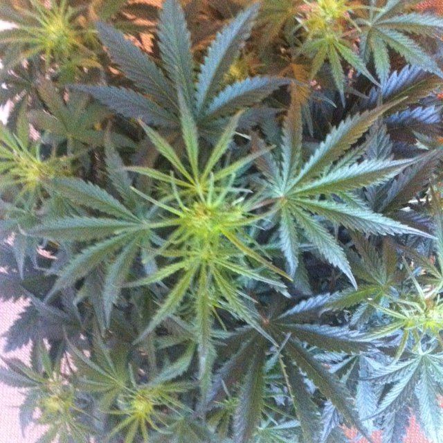 DAY 33