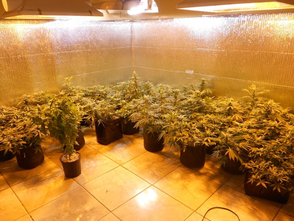 Day 33   Room shot